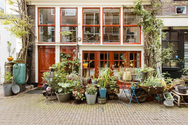 Netherlands guide