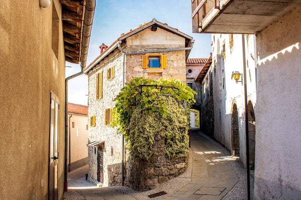 Slovenia guide